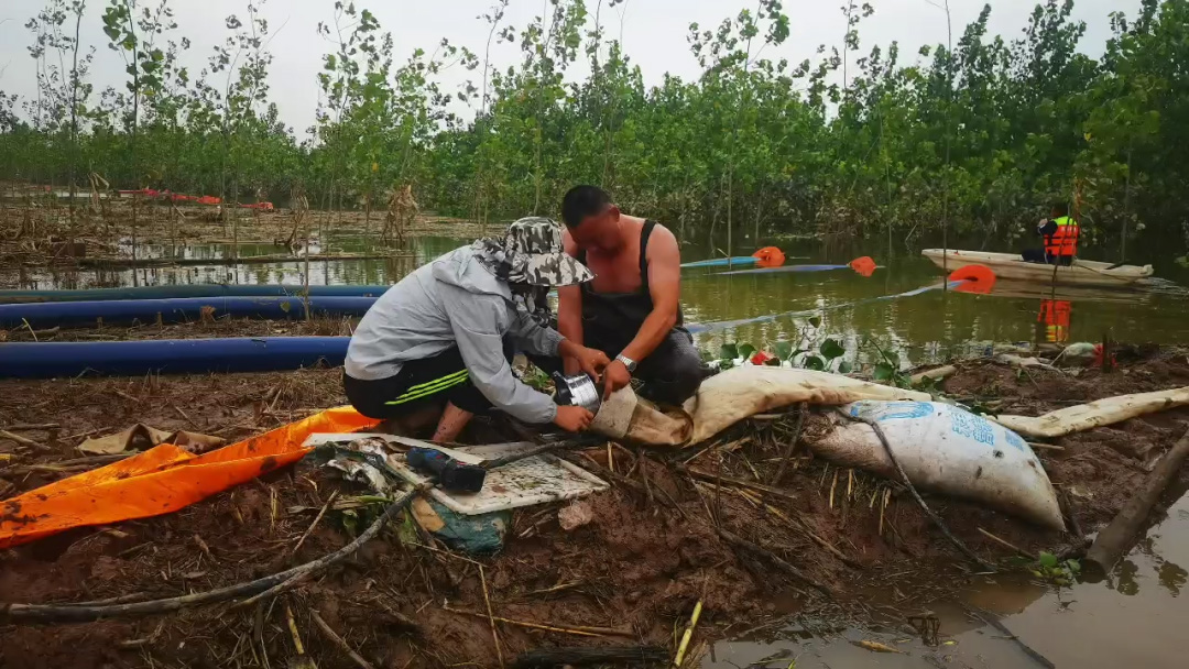 2025020511734044.jpg 3.jpg